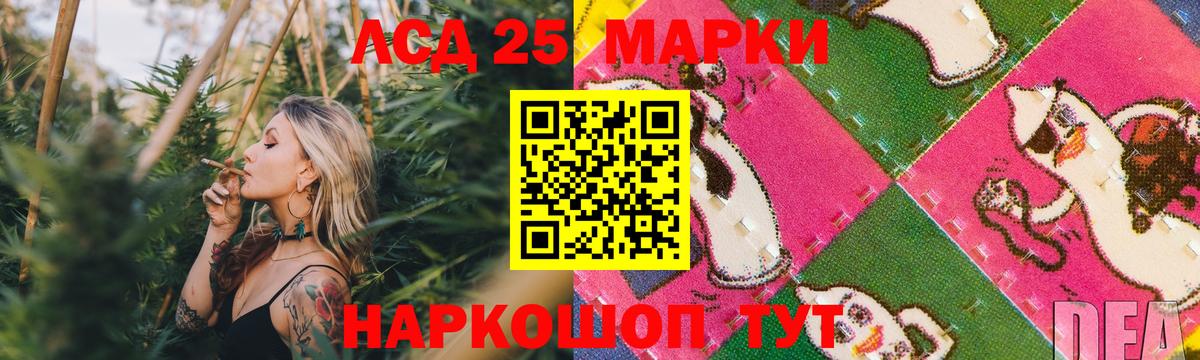 Новоалександровск  LSD-25 экстази ecstasy  Вход с VPN  ЛСД экстази ecstasy 