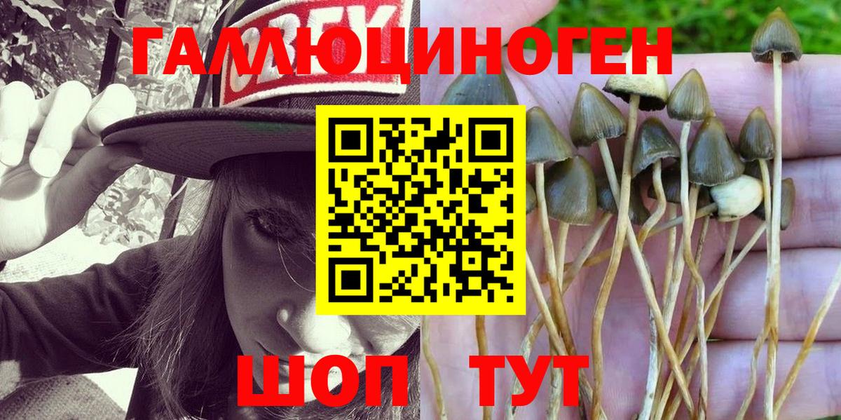 Галлюциногенные грибы Magic Shrooms Новоалександровск