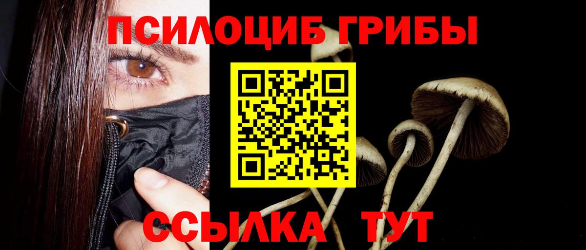 Новоалександровск  Псилоцибиновые грибы прущие грибы  Галлюциногенные грибы Psilocybine cubensis  Вход с VPN 